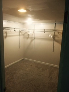3911 Merioneth Drive Crete, IL 60417 - Photo 17 of 19 a view of a room with racks on the wall