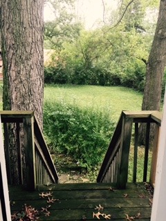 3911 Merioneth Drive Crete, IL 60417 - Photo 9 of 19 a view of a balcony with an ocean view