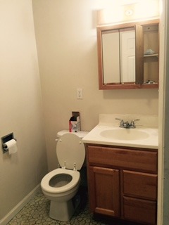 3911 Merioneth Drive Crete, IL 60417 - Photo 10 of 19 a bathroom with a sink and a toilet