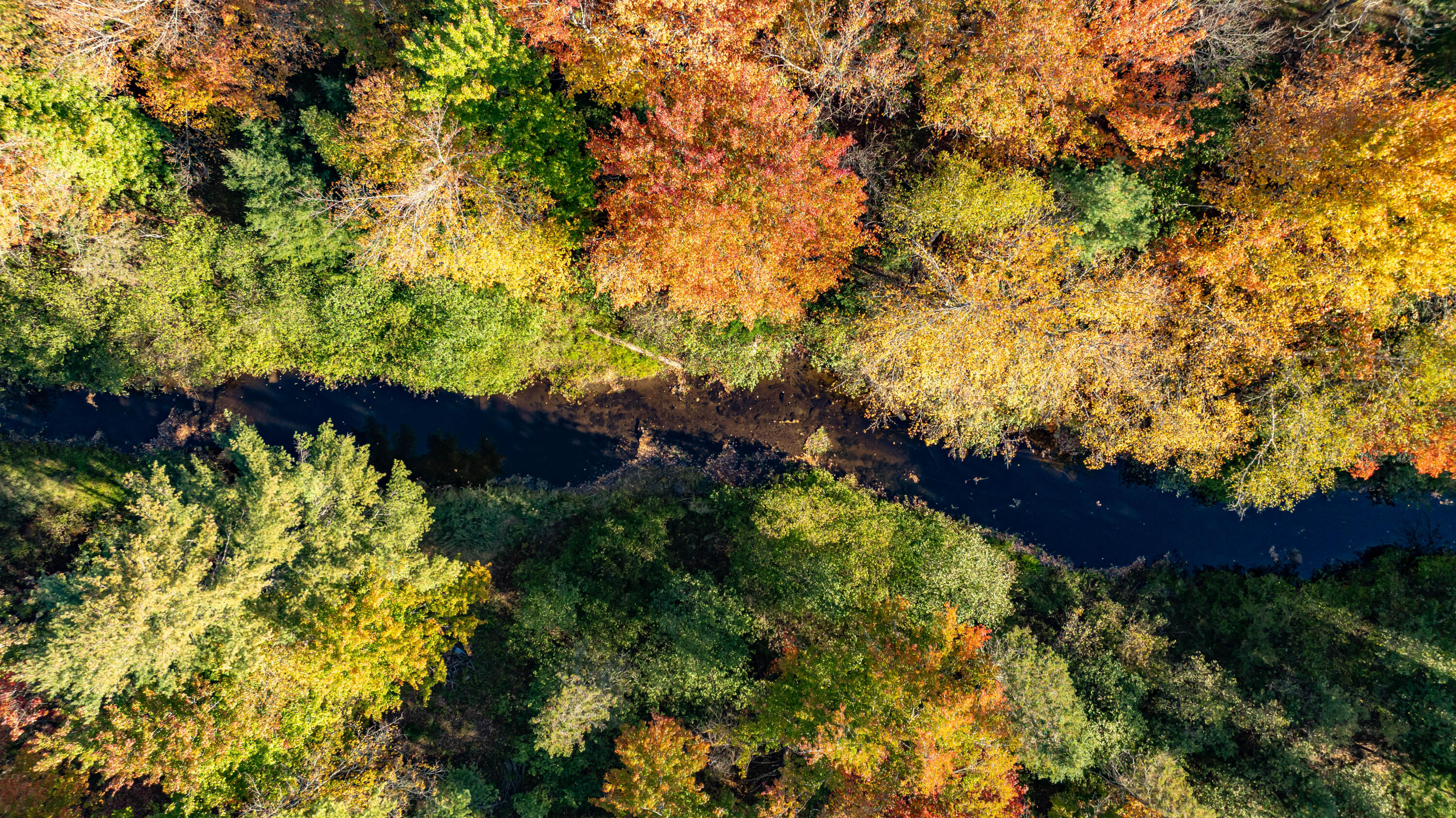 151 Mill Road Dedham, ME 04429 - Photo 49 of 60 dji_fly_20251003_034102_503_175944320251