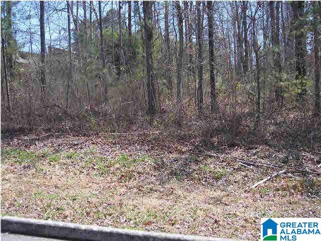 Edgewood Circle, Unit 10 Oneonta, AL 35121 - Photo 2 of 3