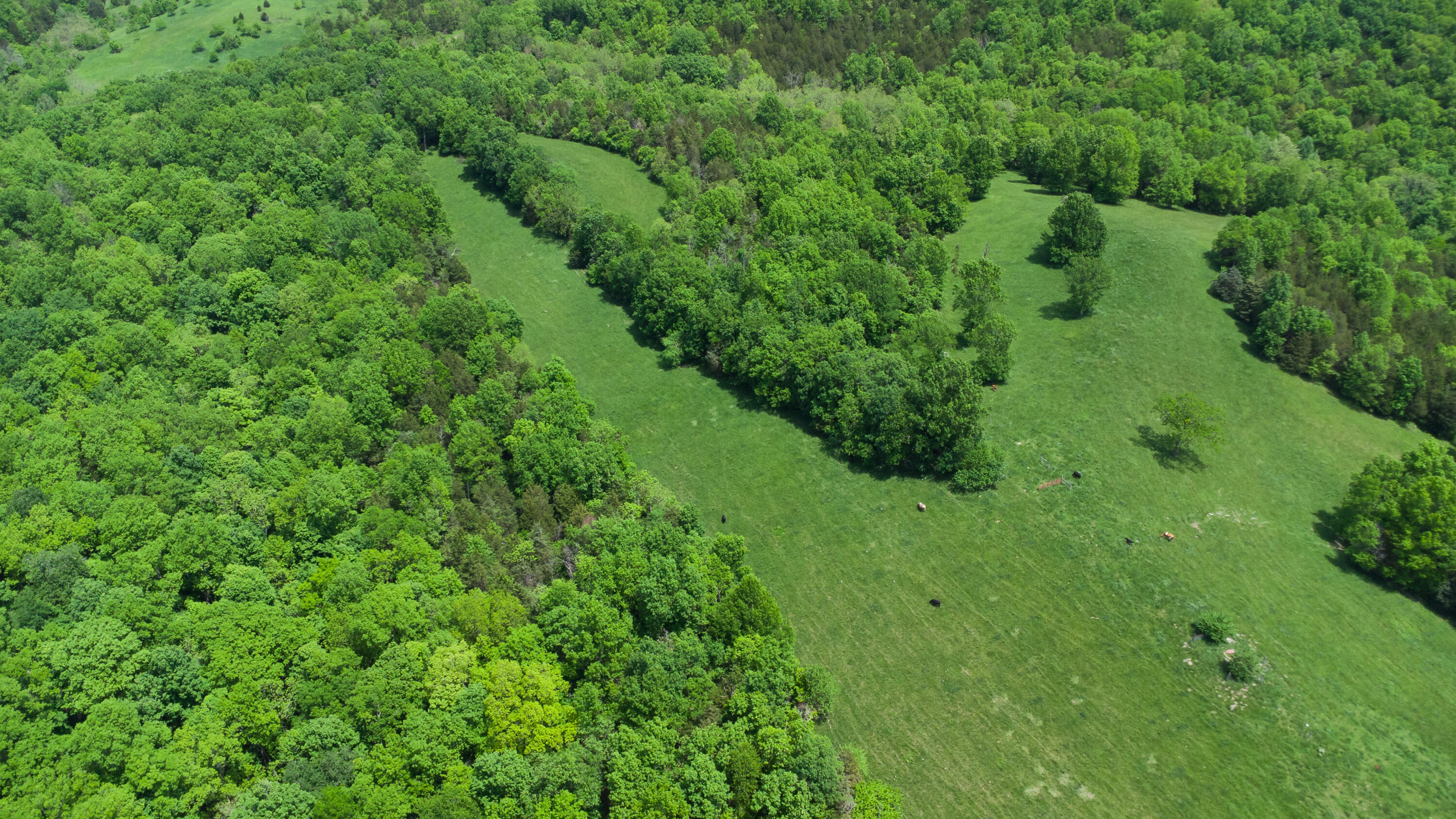 119-acres Keefer Road Corinth, KY 41010 - Photo 31 of 44 Gallery Image 31