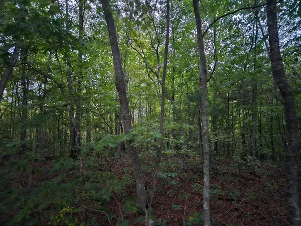 $429,900 | 0 Sandy Road, Wilder, TN 38589