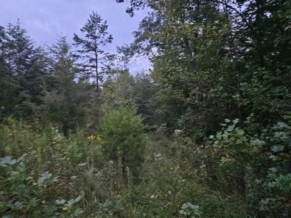 $429,900 | 0 Sandy Road, Wilder, TN 38589