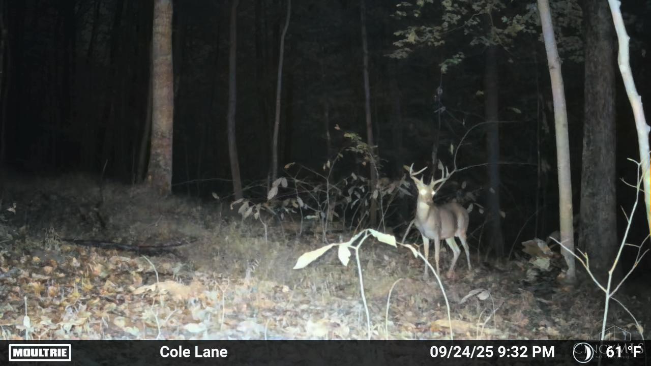 4655 Grassy Fork Road Peebles, OH 45660 - Photo 2 of 30