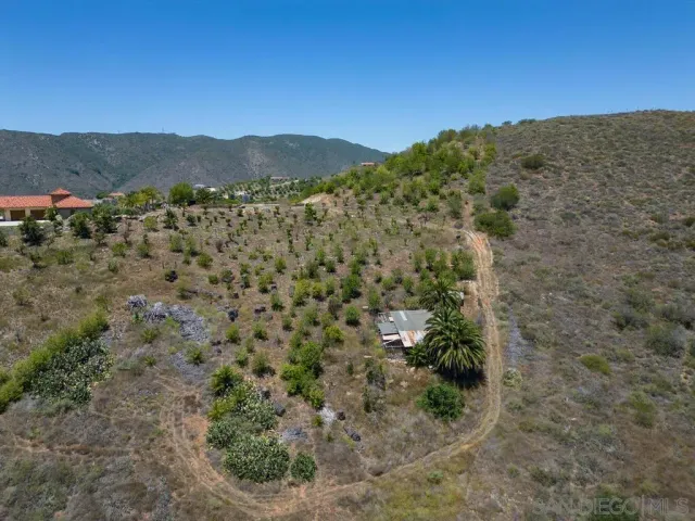 an aerial view of houses covered in trees