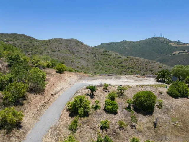 a view of a mountain with a field