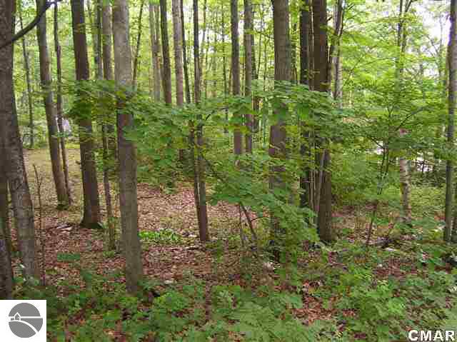 Tbd Tbd Cedar Road Lake, MI 48632 - Photo 1 of 5 1765564.JPG