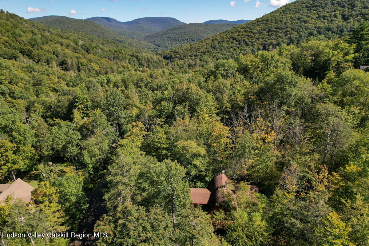 3 Quarry Road Shandaken, NY 12480 - Photo 2 of 29 a view of a forest with a sink