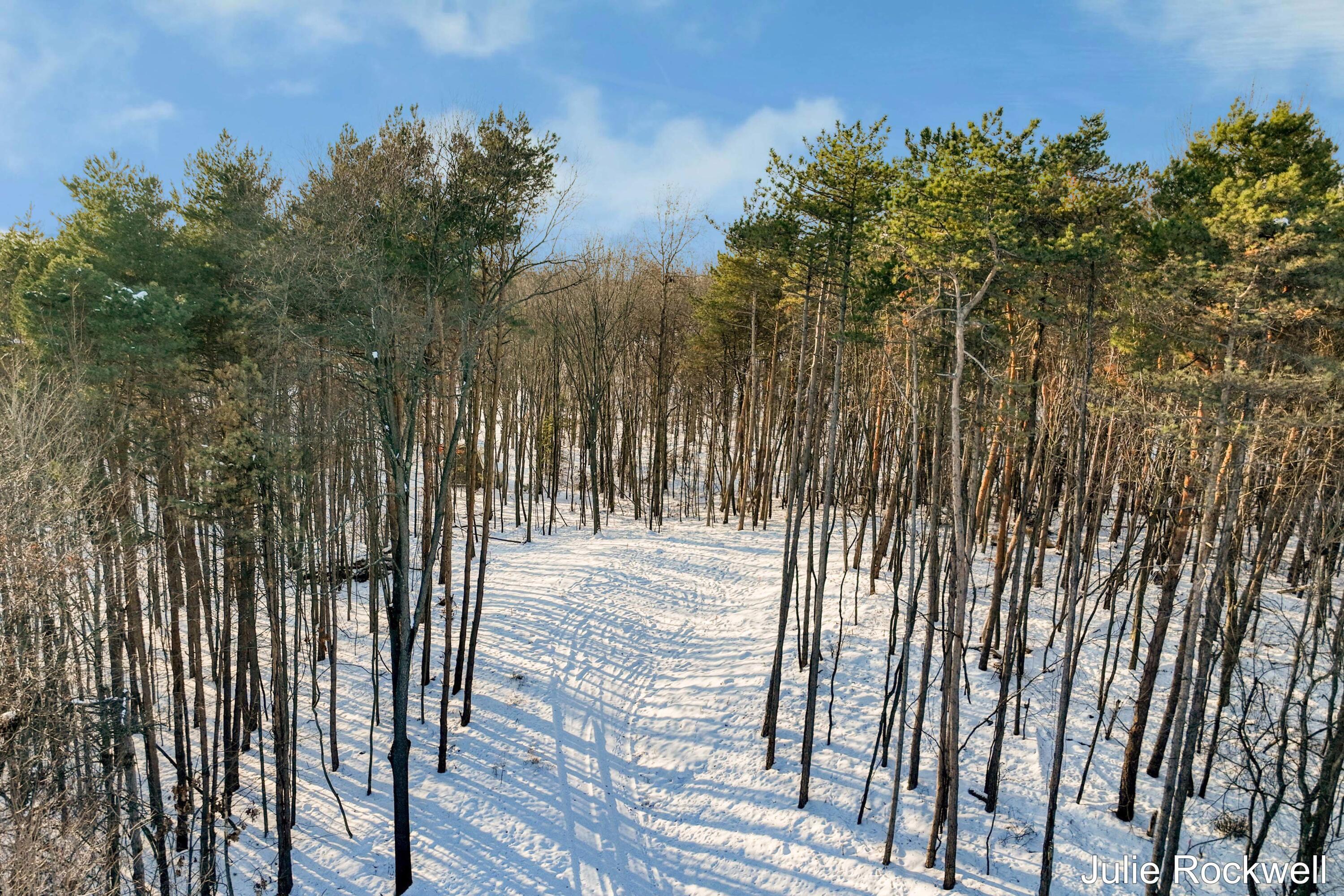 3669 Buttrick Avenue Southeast Ada, MI 49301 - Photo 1 of 4 EngelsmaHomes
