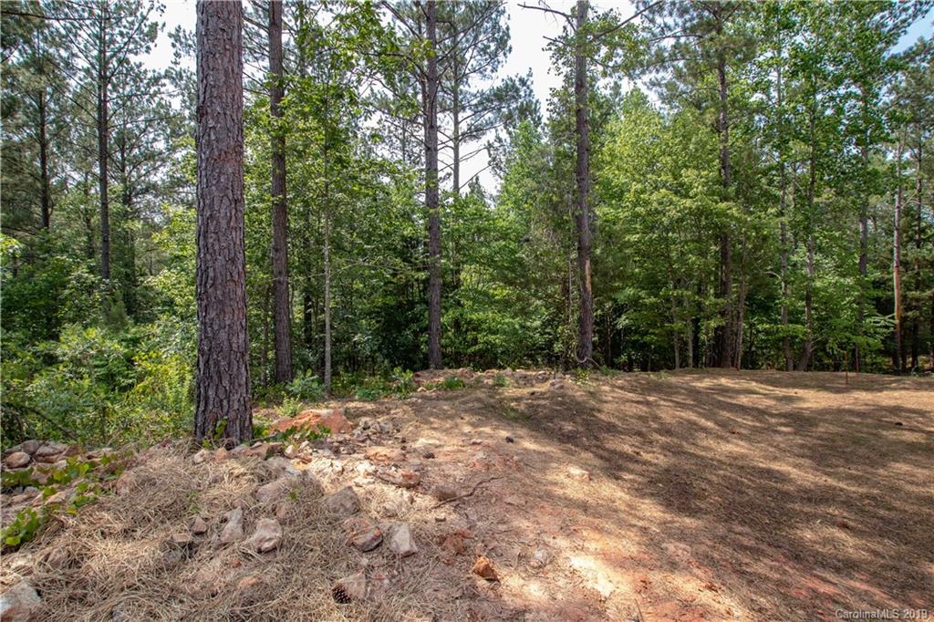 6105 Hawk View Road, Unit 27 Waxhaw, NC 28173 - Photo 5 of 47 Gallery Image 5
