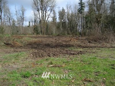 2 Tower Road Castle Rock, WA 98611 - Photo 1 of 1 Gallery Image 1