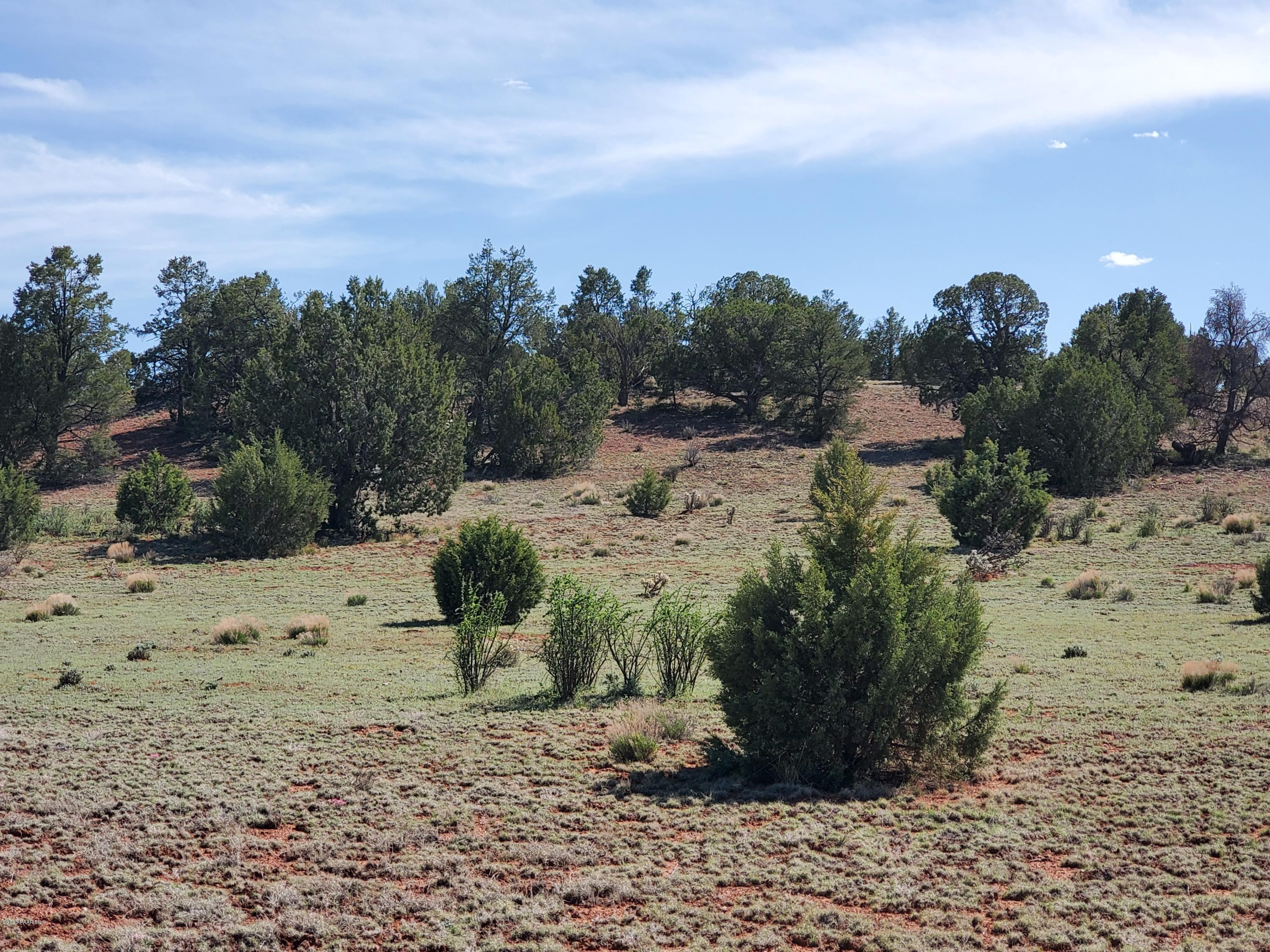 0 Dusty Ranch Road Seligman, AZ 86337 - Photo 1 of 42 20200427_152752
