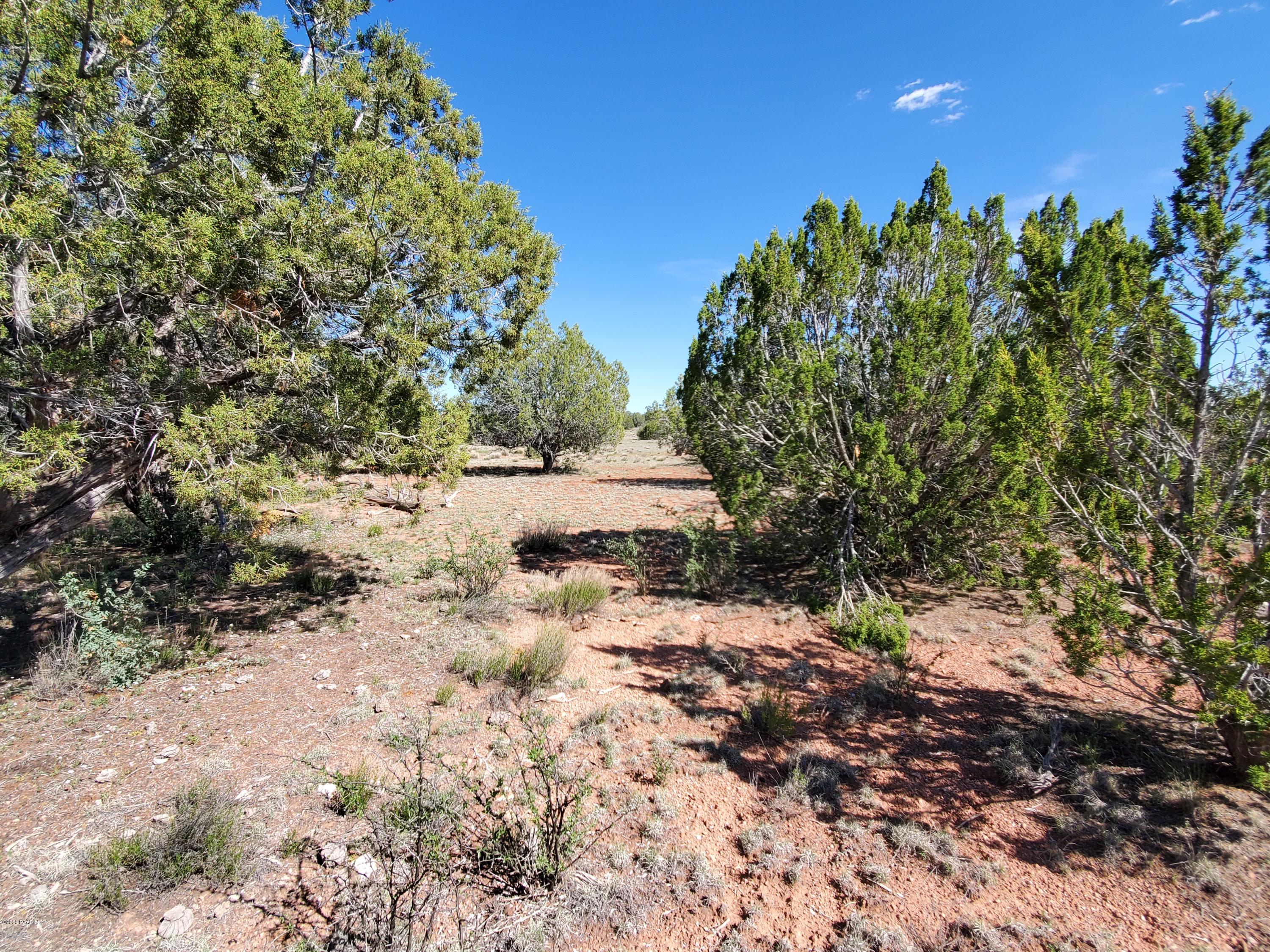 0 Dusty Ranch Road Seligman, AZ 86337 - Photo 11 of 42 20200427_153042