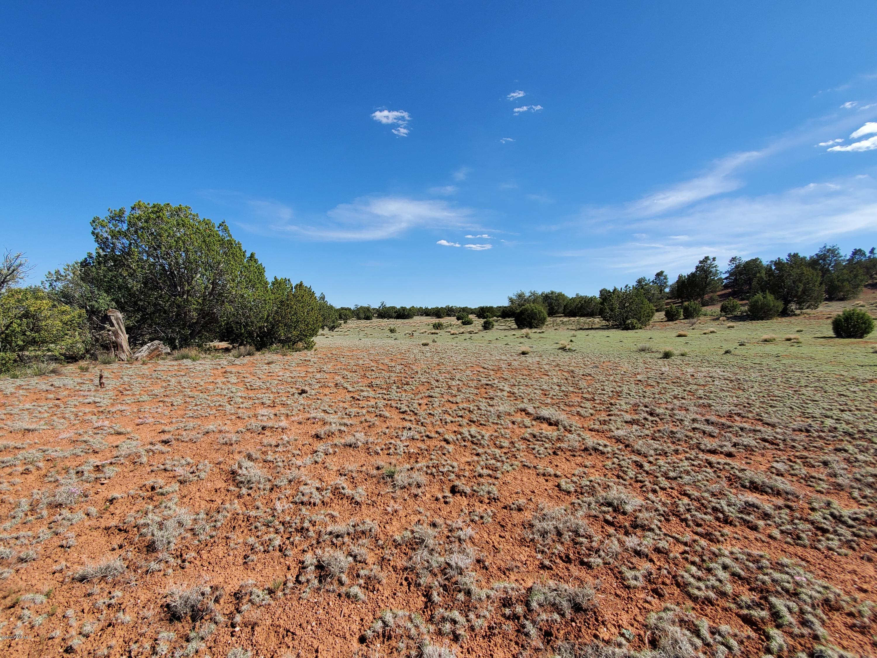 0 Dusty Ranch Road Seligman, AZ 86337 - Photo 12 of 42 20200427_153017