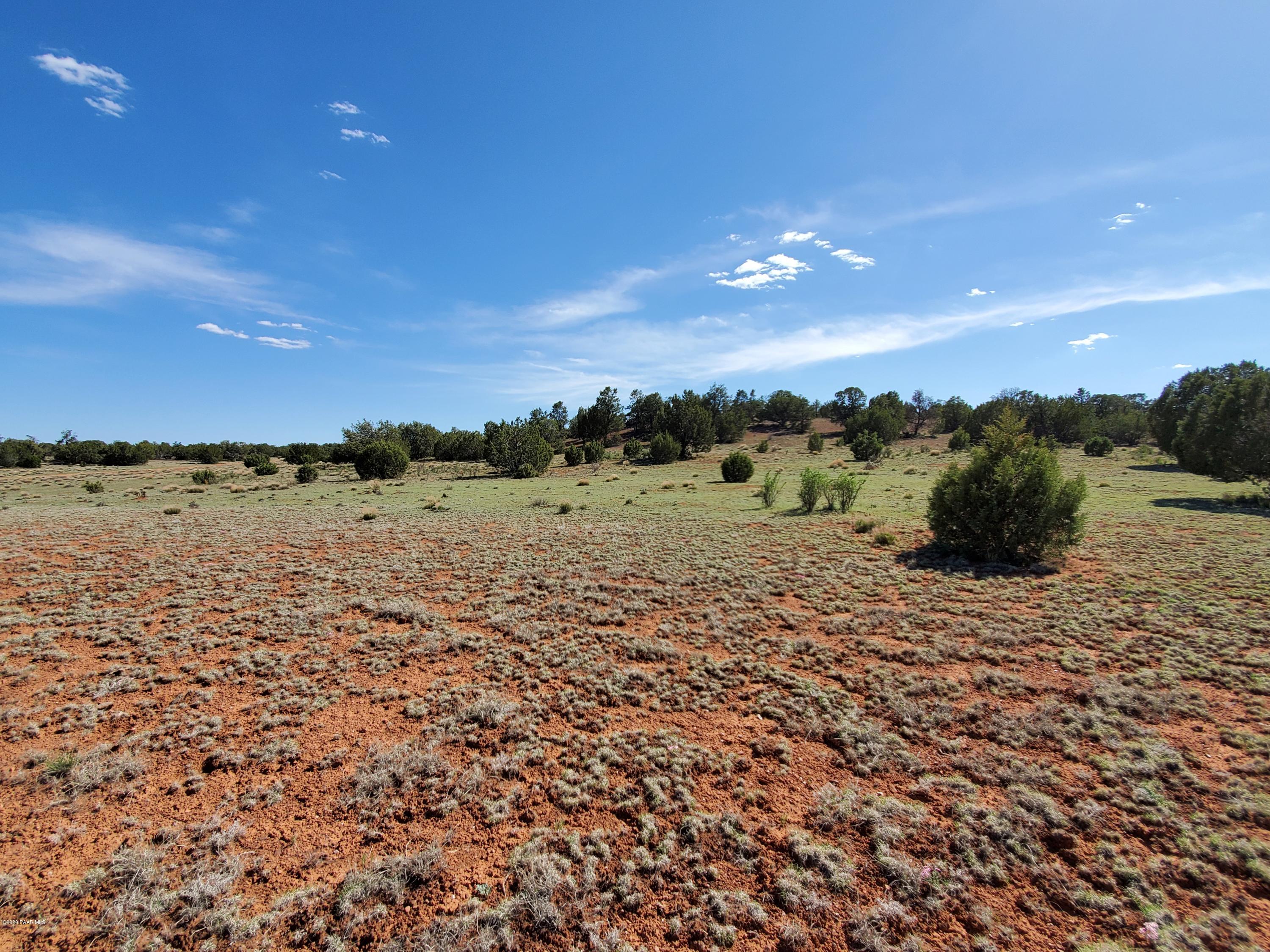 0 Dusty Ranch Road Seligman, AZ 86337 - Photo 13 of 42 20200427_153015