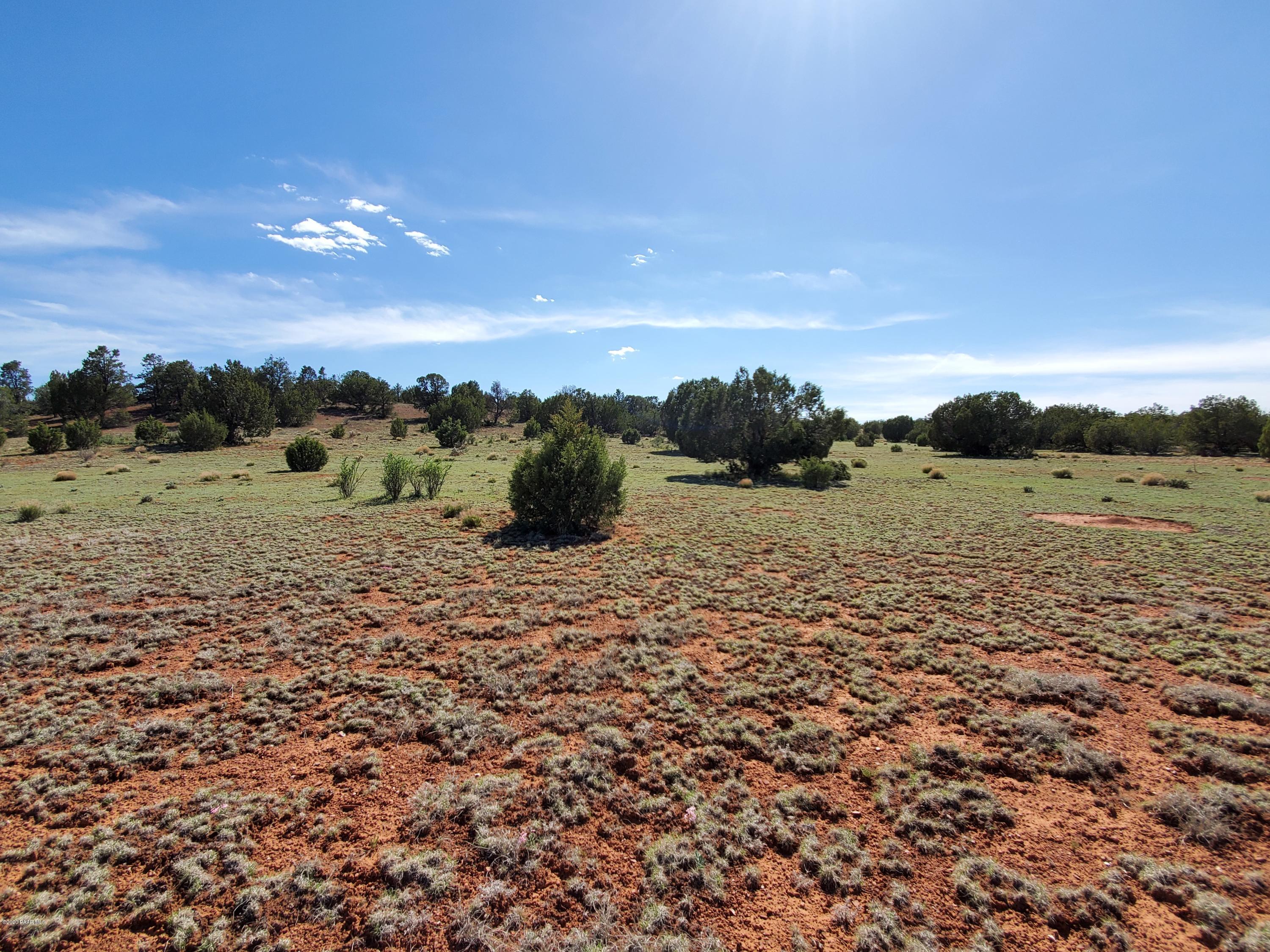 0 Dusty Ranch Road Seligman, AZ 86337 - Photo 14 of 42 20200427_153013