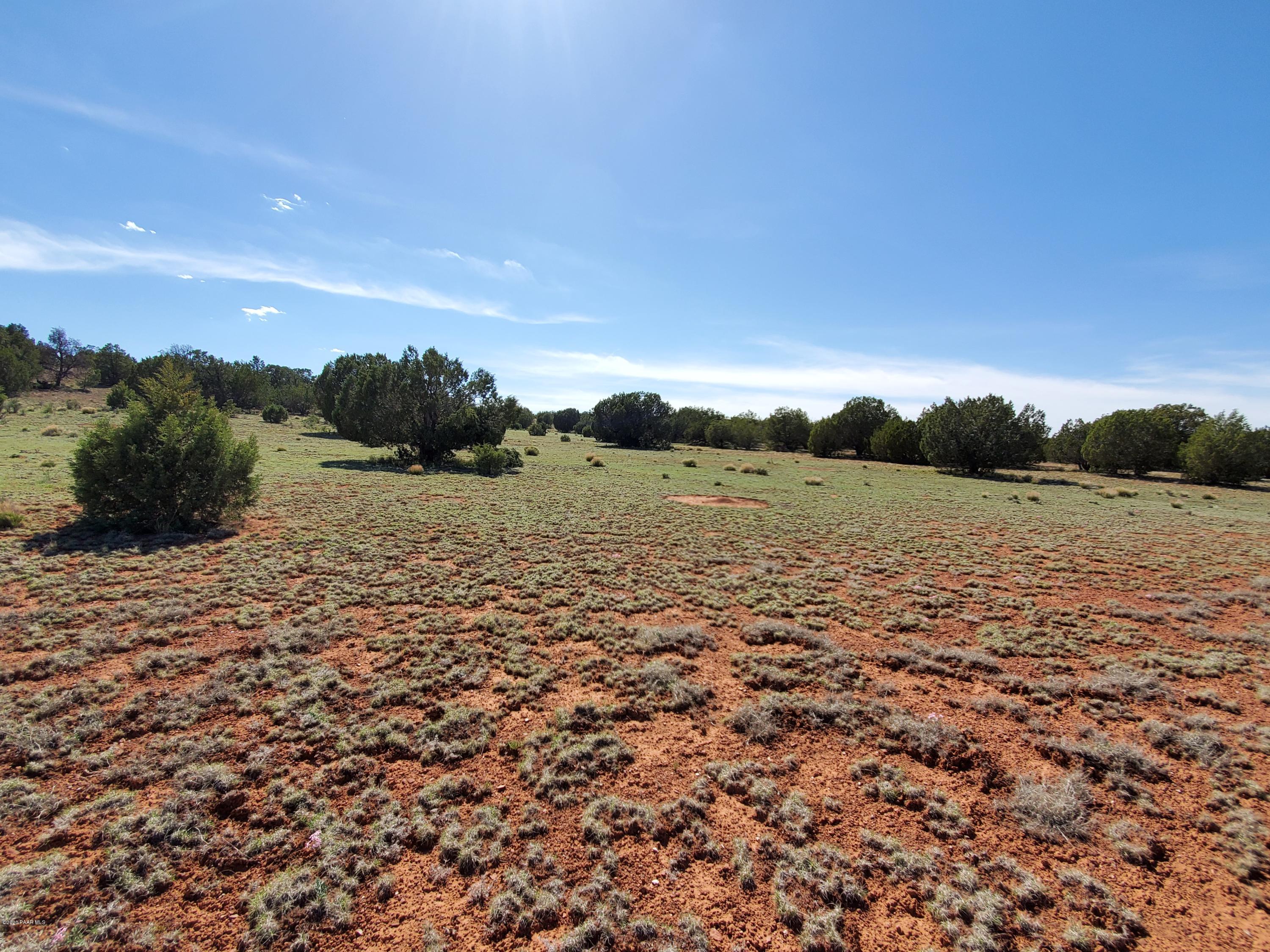 0 Dusty Ranch Road Seligman, AZ 86337 - Photo 15 of 42 20200427_153011