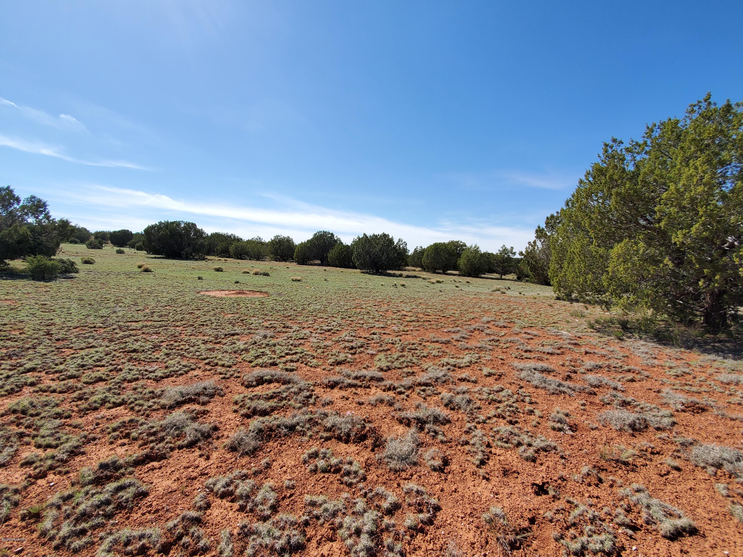 0 Dusty Ranch Road Seligman, AZ 86337 - Photo 16 of 42 20200427_153009