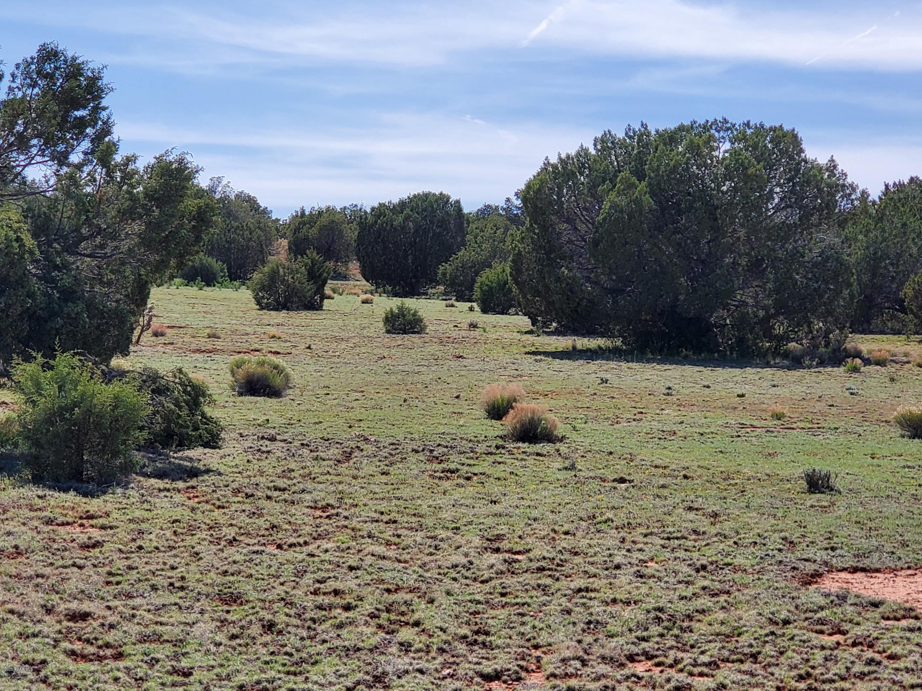 0 Dusty Ranch Road Seligman, AZ 86337 - Photo 18 of 42 20200427_153003