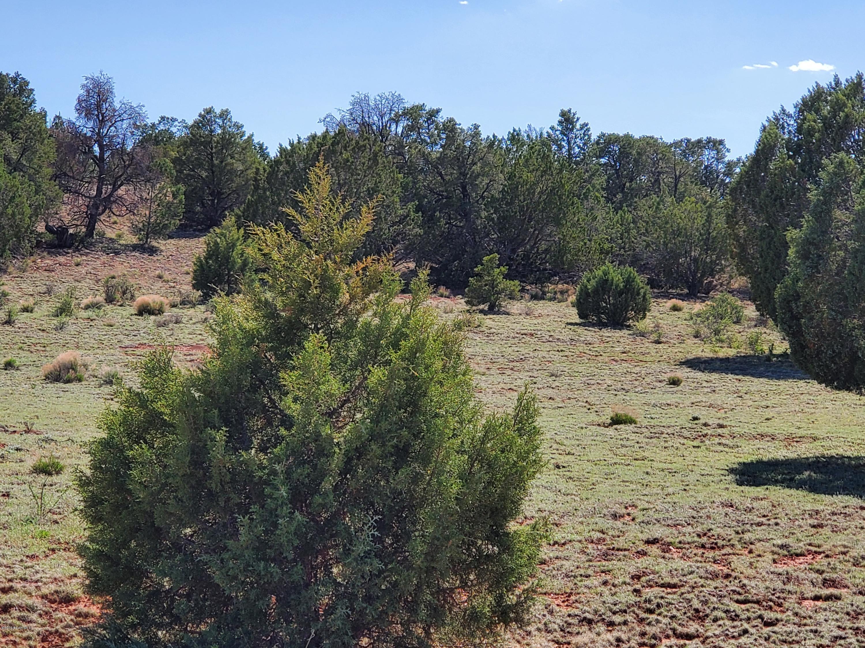 0 Dusty Ranch Road Seligman, AZ 86337 - Photo 20 of 42 20200427_153001