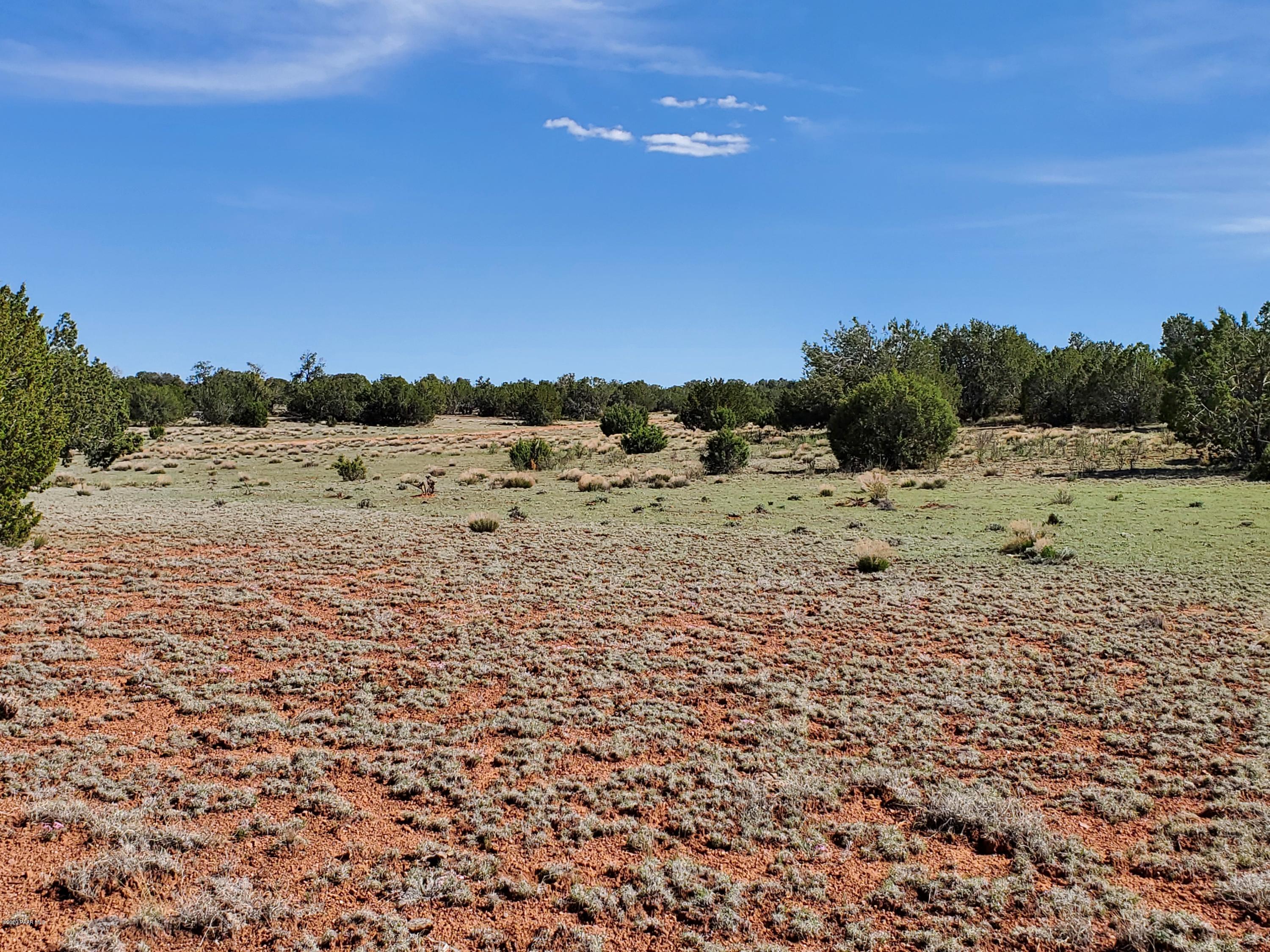 0 Dusty Ranch Road Seligman, AZ 86337 - Photo 22 of 42 20200427_152952