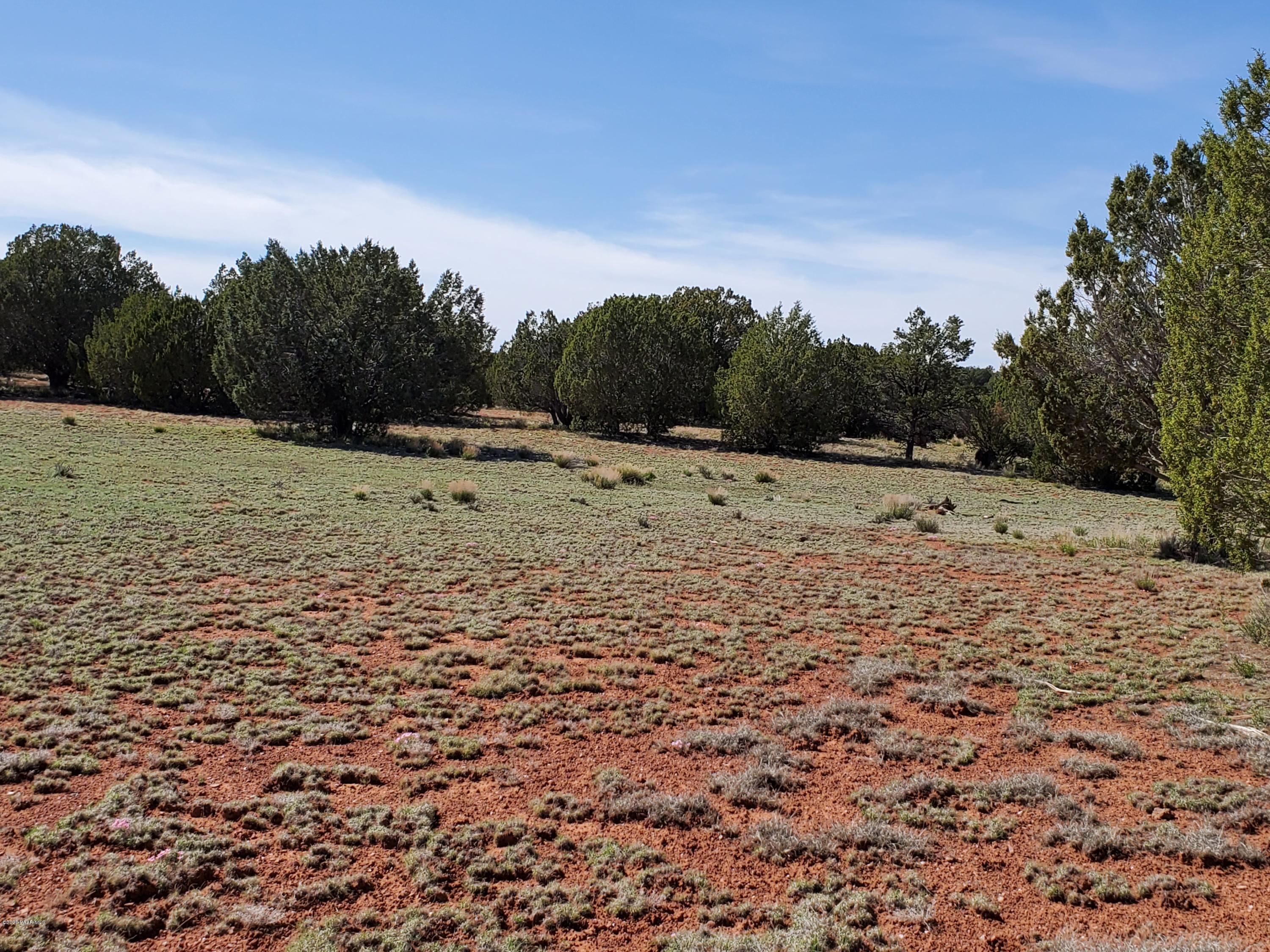 0 Dusty Ranch Road Seligman, AZ 86337 - Photo 23 of 42 20200427_152828