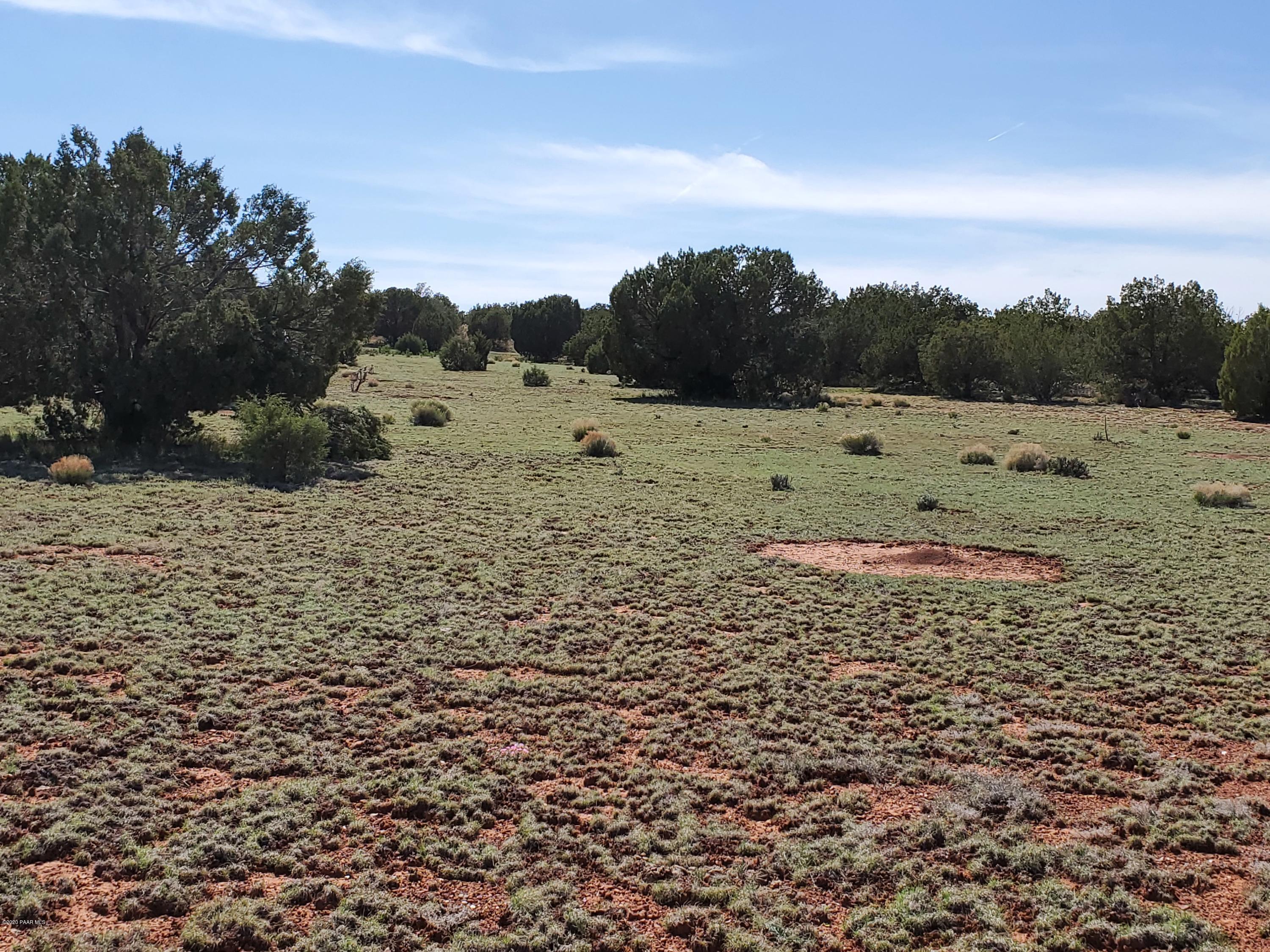 0 Dusty Ranch Road Seligman, AZ 86337 - Photo 24 of 42 20200427_152826