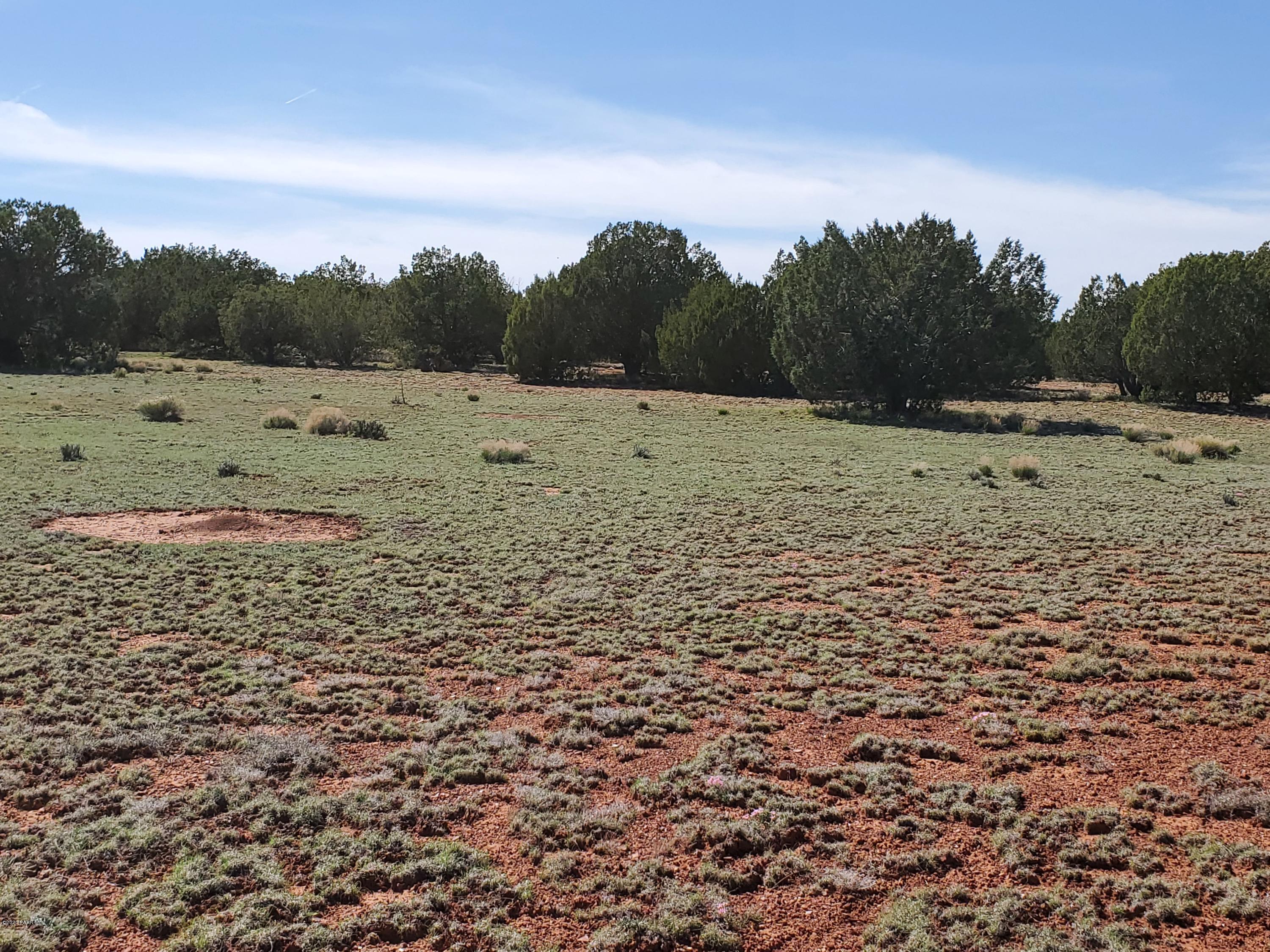 0 Dusty Ranch Road Seligman, AZ 86337 - Photo 25 of 42 20200427_152824
