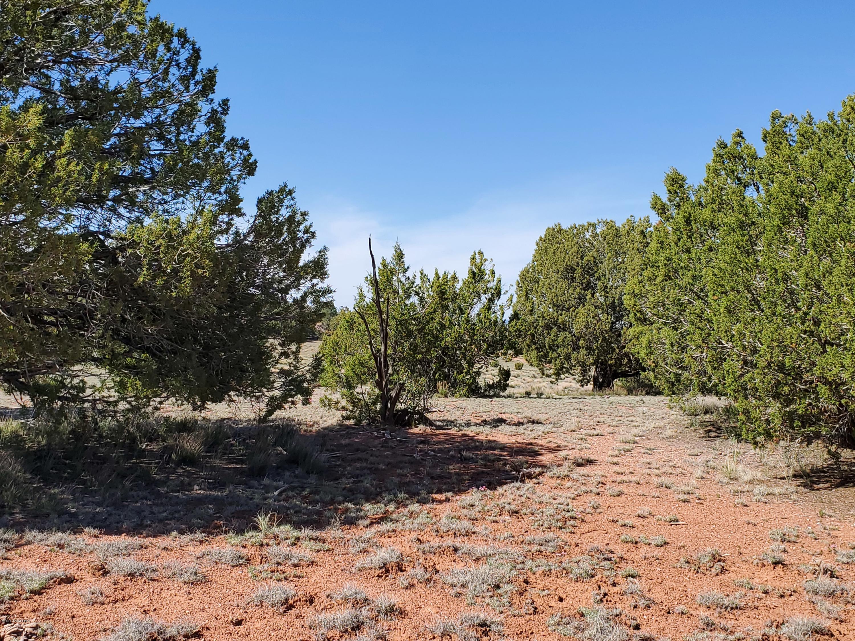 0 Dusty Ranch Road Seligman, AZ 86337 - Photo 26 of 42 20200427_152821