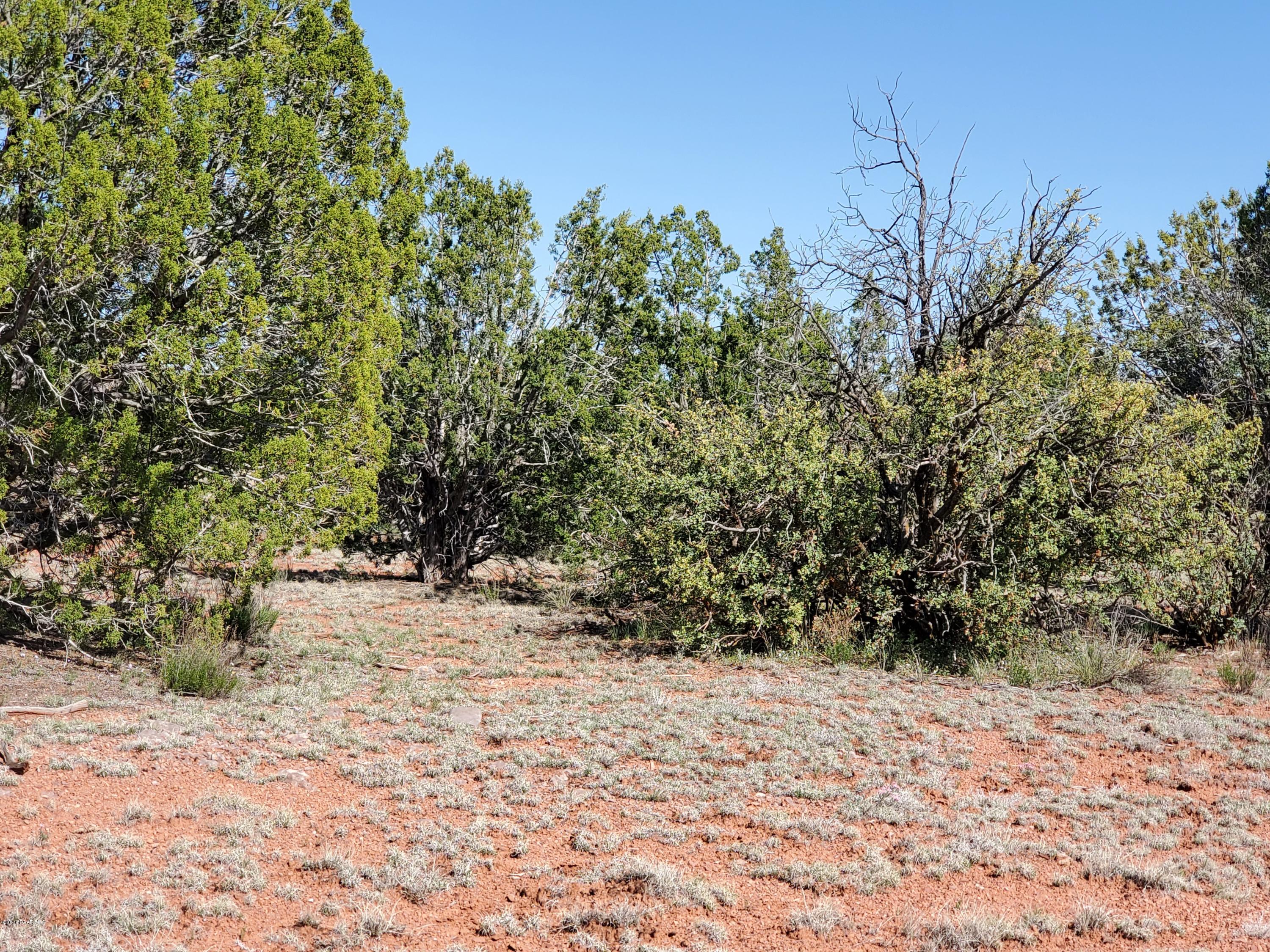 0 Dusty Ranch Road Seligman, AZ 86337 - Photo 28 of 42 20200427_152815