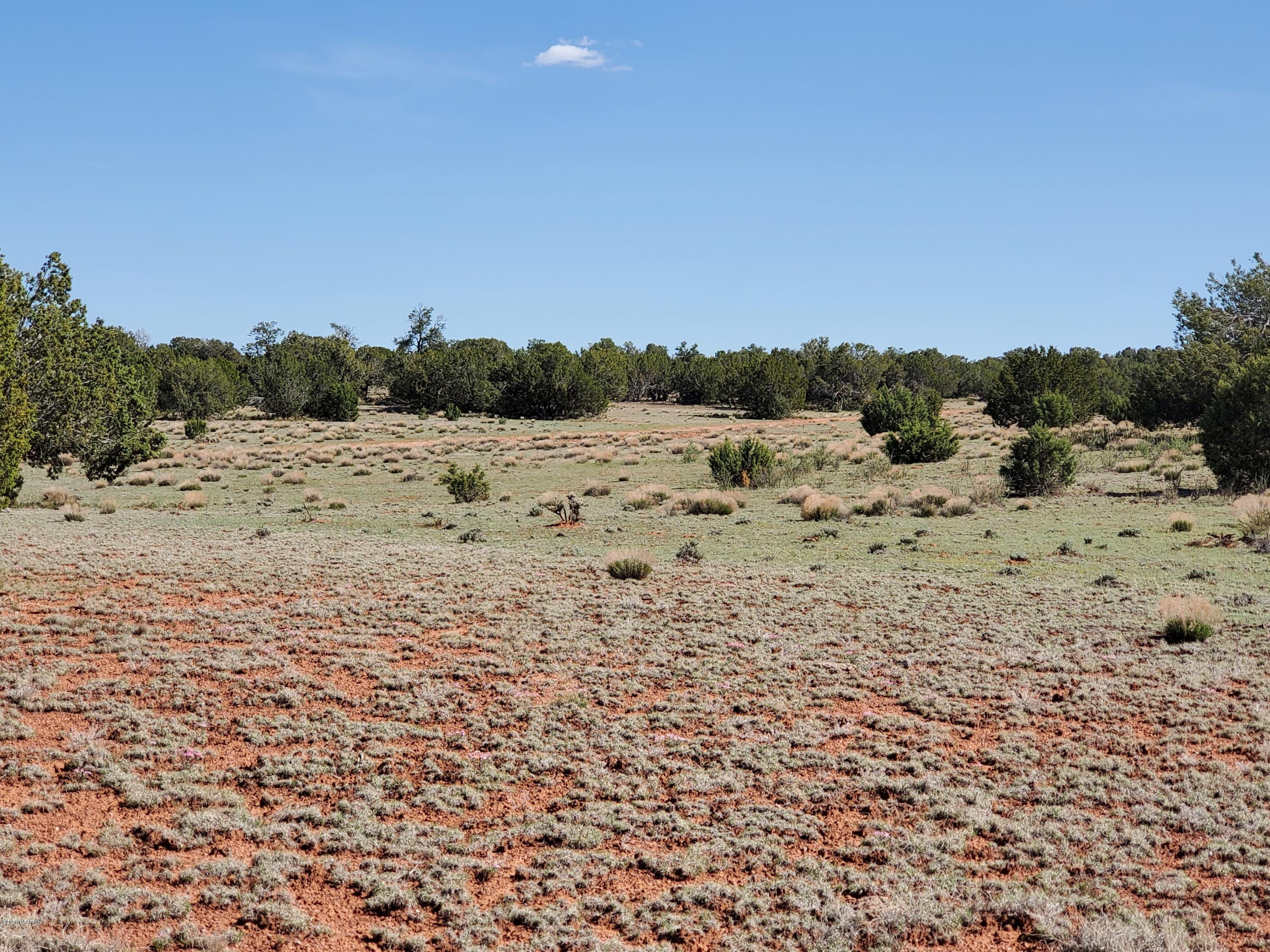 0 Dusty Ranch Road Seligman, AZ 86337 - Photo 29 of 42 20200427_152812