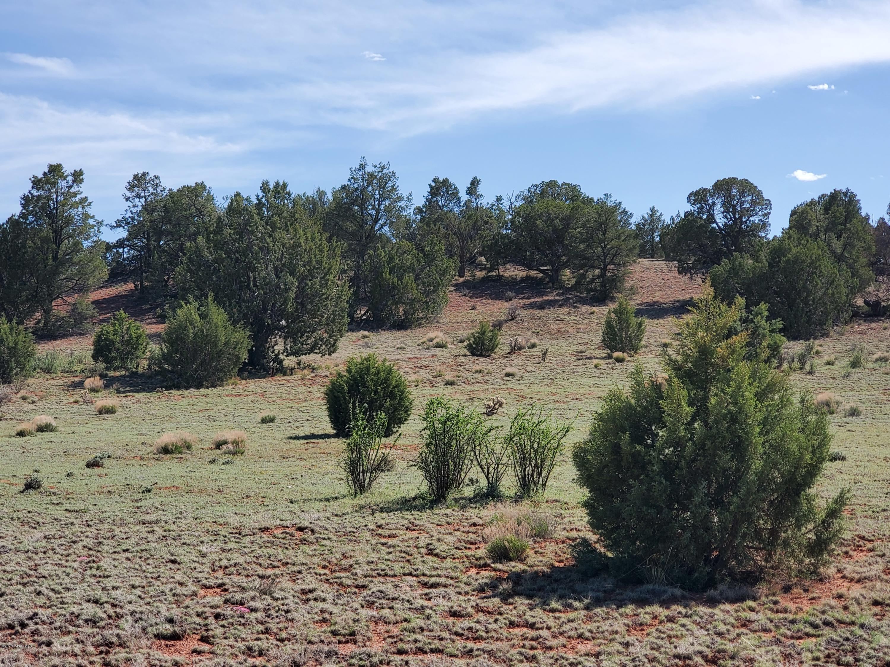 0 Dusty Ranch Road Seligman, AZ 86337 - Photo 30 of 42 20200427_152805