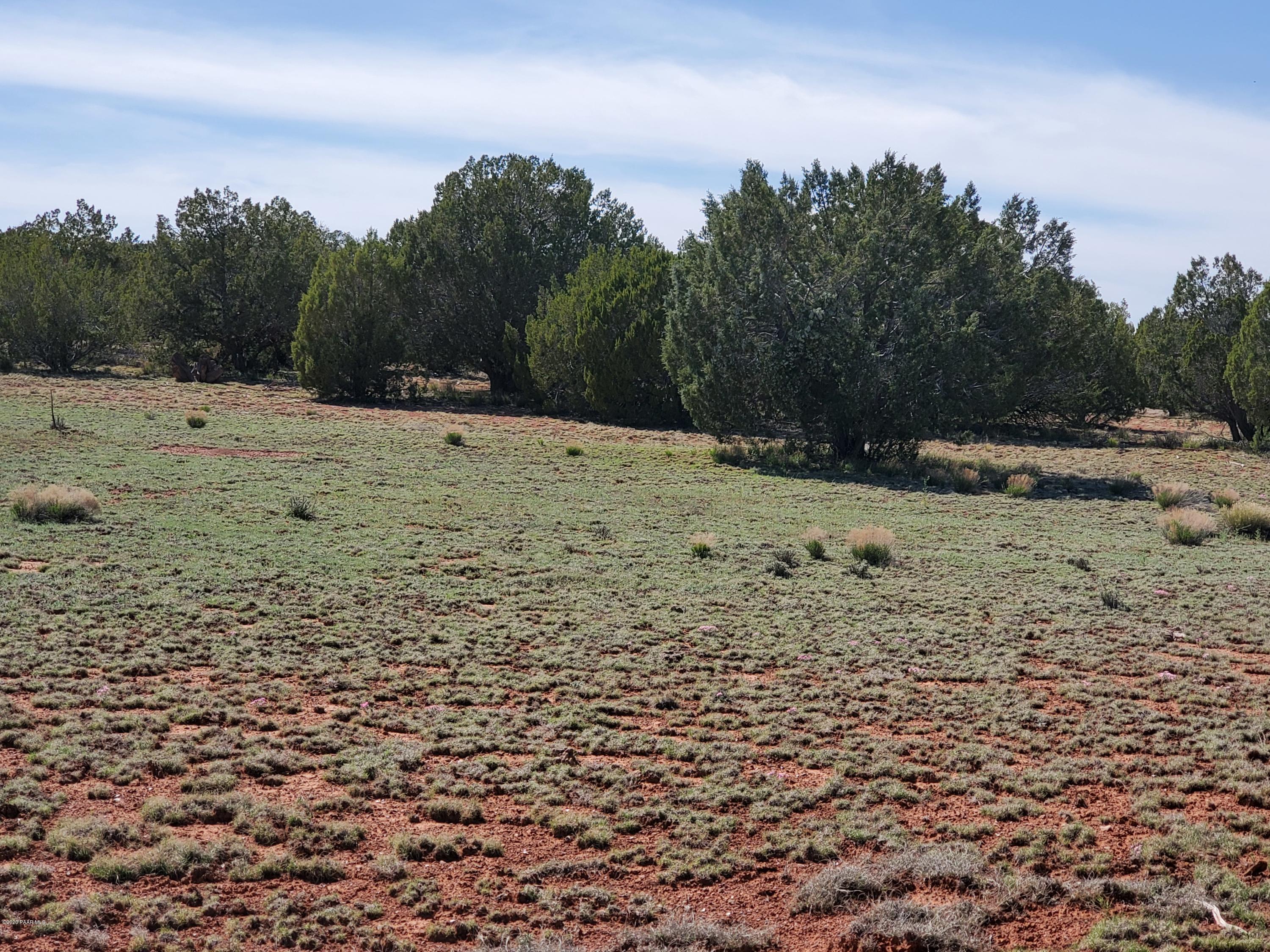 0 Dusty Ranch Road Seligman, AZ 86337 - Photo 31 of 42 20200427_152802