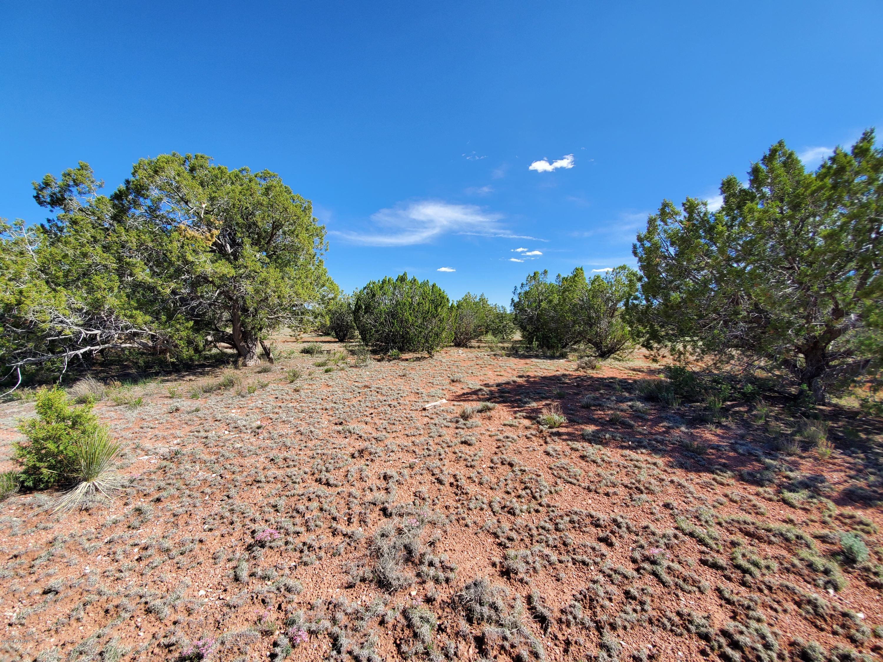 0 Dusty Ranch Road Seligman, AZ 86337 - Photo 35 of 42 20200427_152724