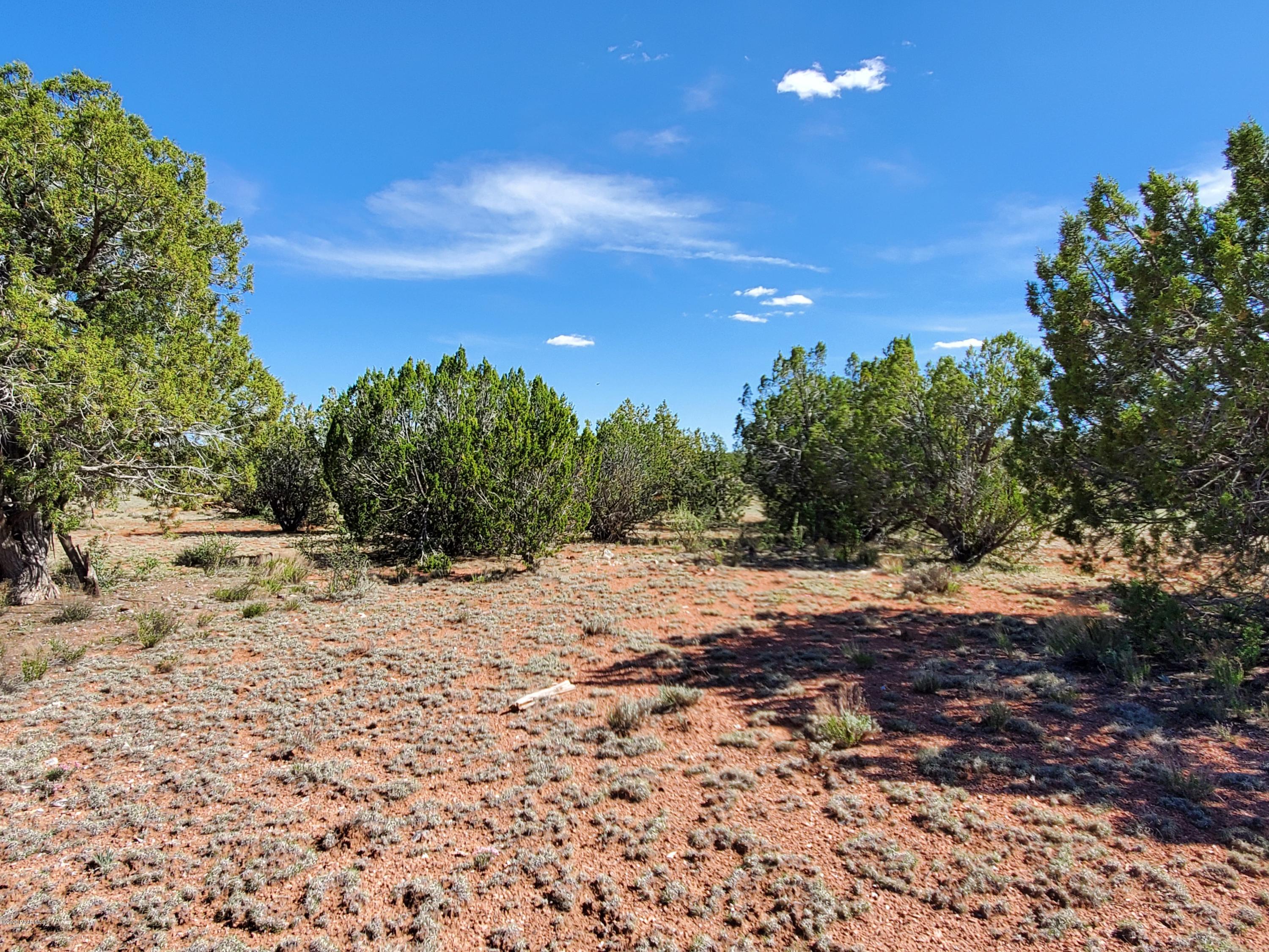 0 Dusty Ranch Road Seligman, AZ 86337 - Photo 36 of 42 20200427_152721