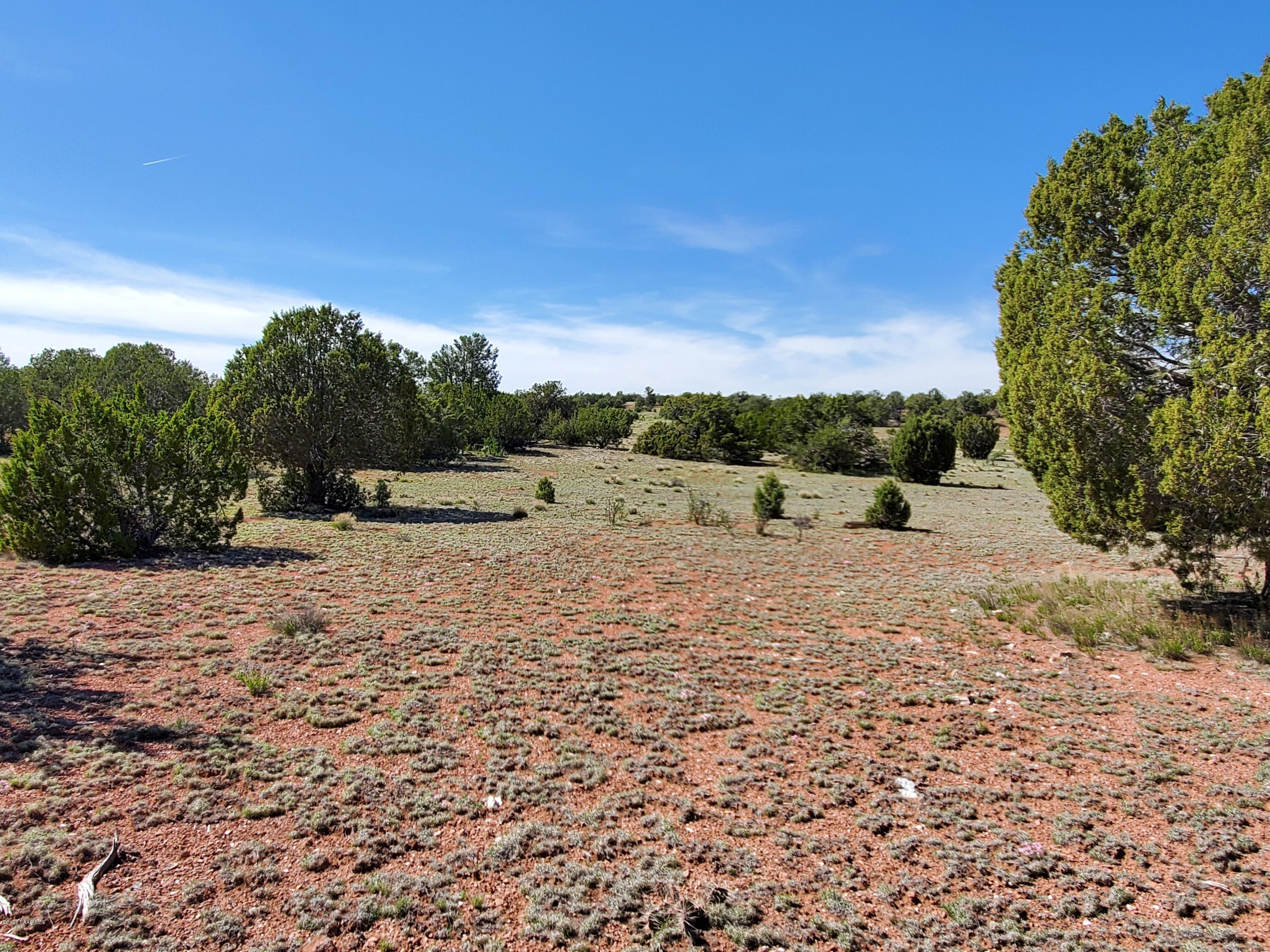 0 Dusty Ranch Road Seligman, AZ 86337 - Photo 39 of 42 20200427_152635