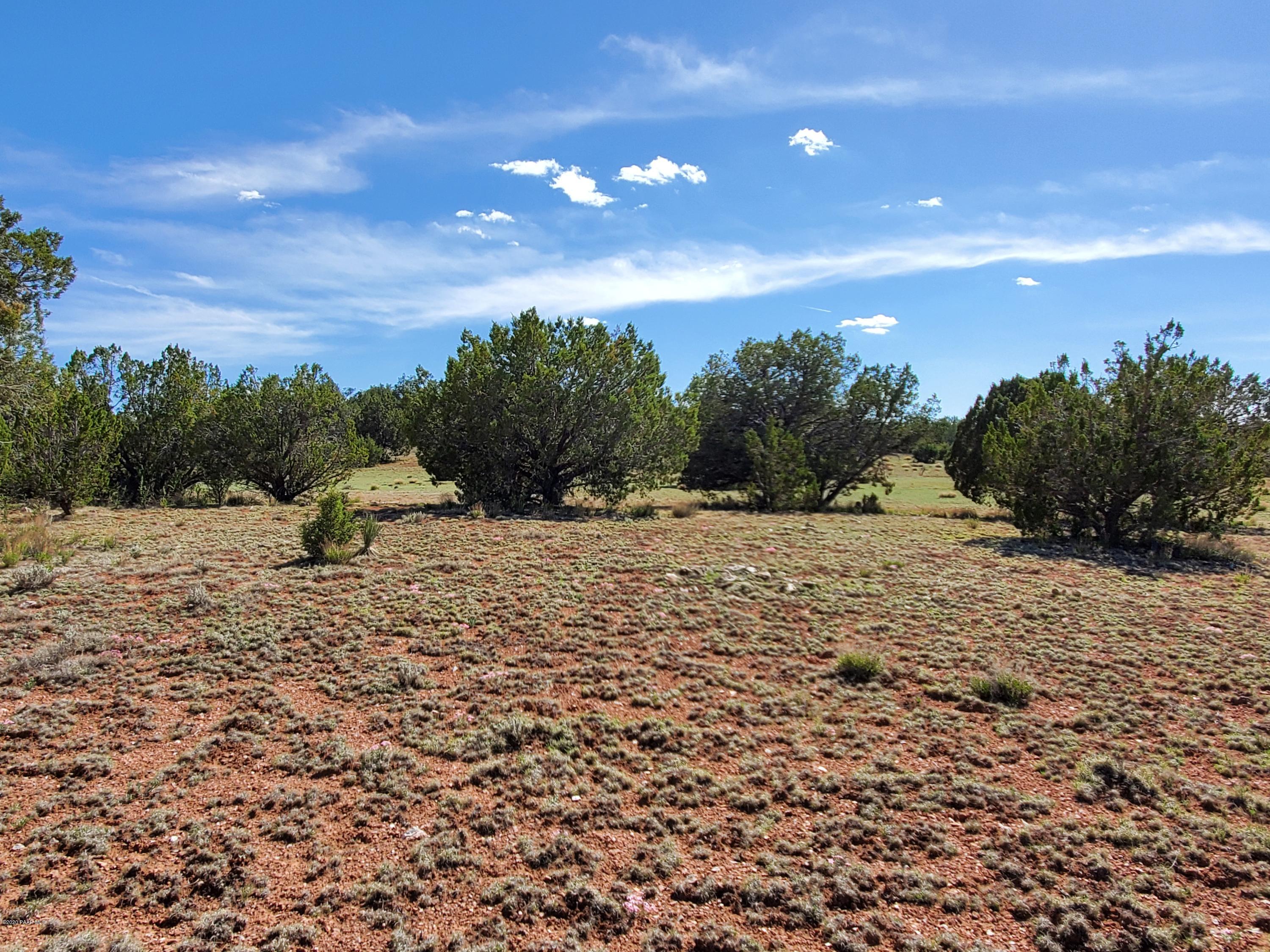 0 Dusty Ranch Road Seligman, AZ 86337 - Photo 40 of 42 20200427_152620