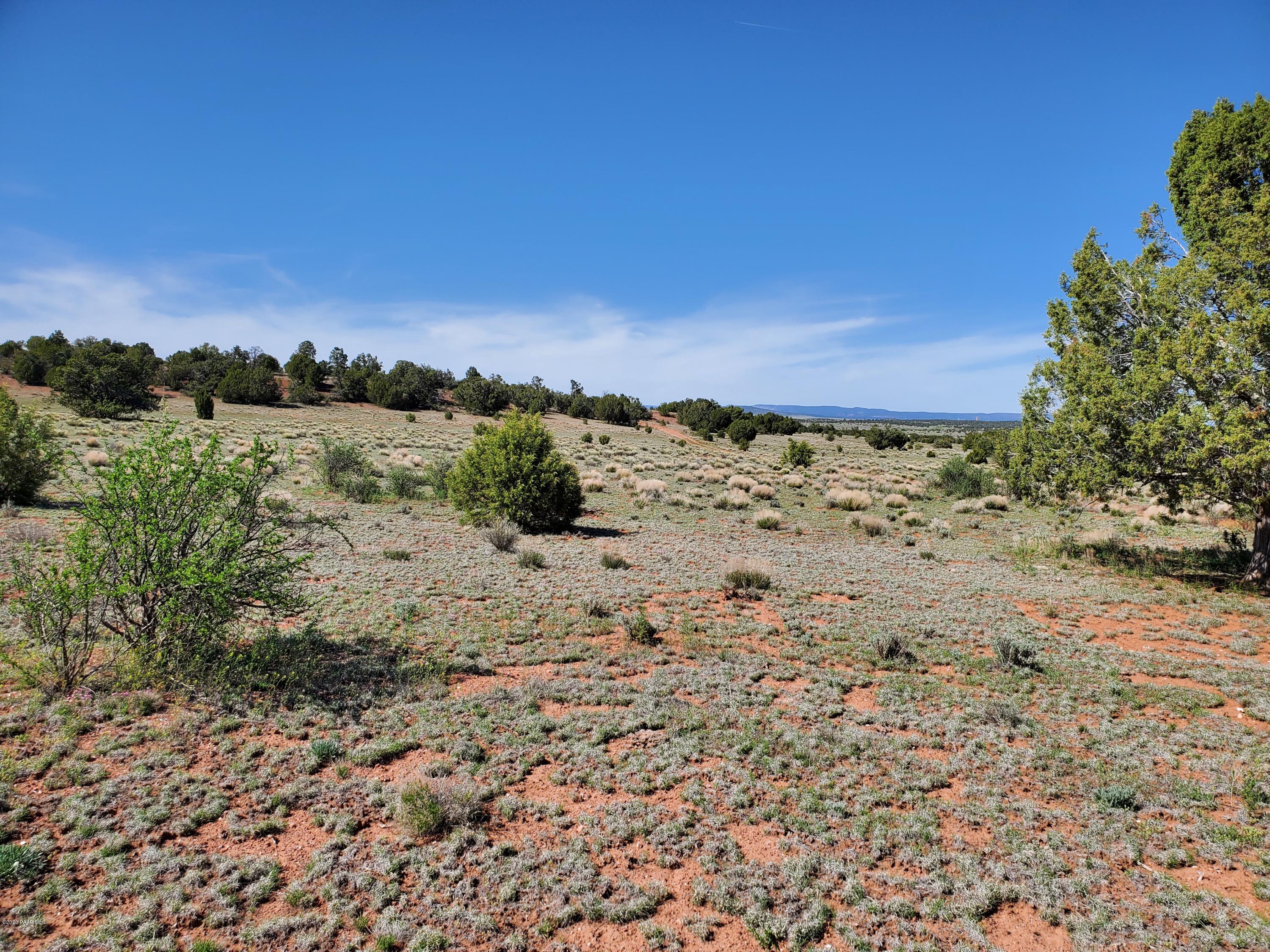 0 Dusty Ranch Road Seligman, AZ 86337 - Photo 42 of 42 20200427_152330
