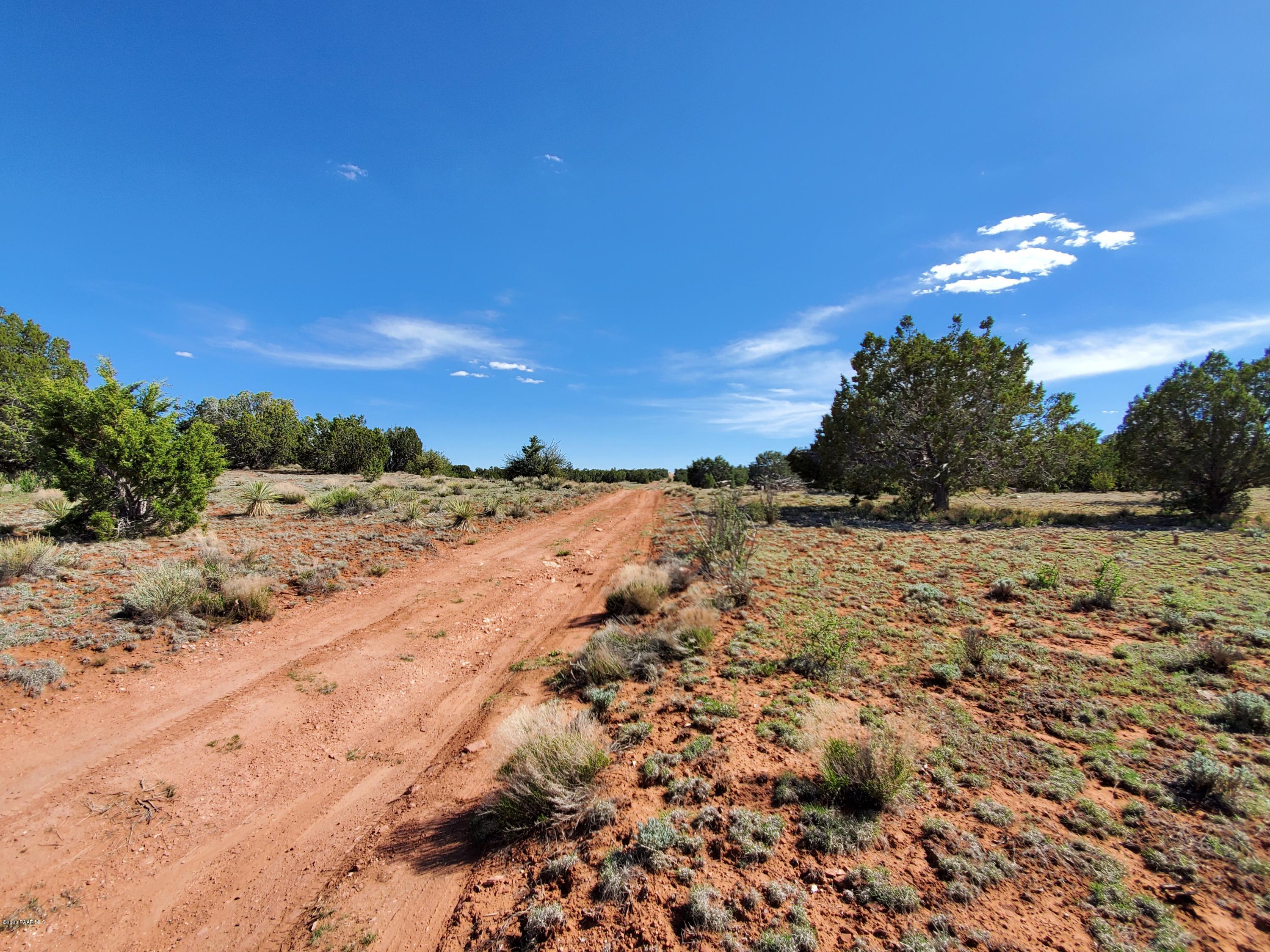 0 Dusty Ranch Road Seligman, AZ 86337 - Photo 10 of 42 20200427_153228