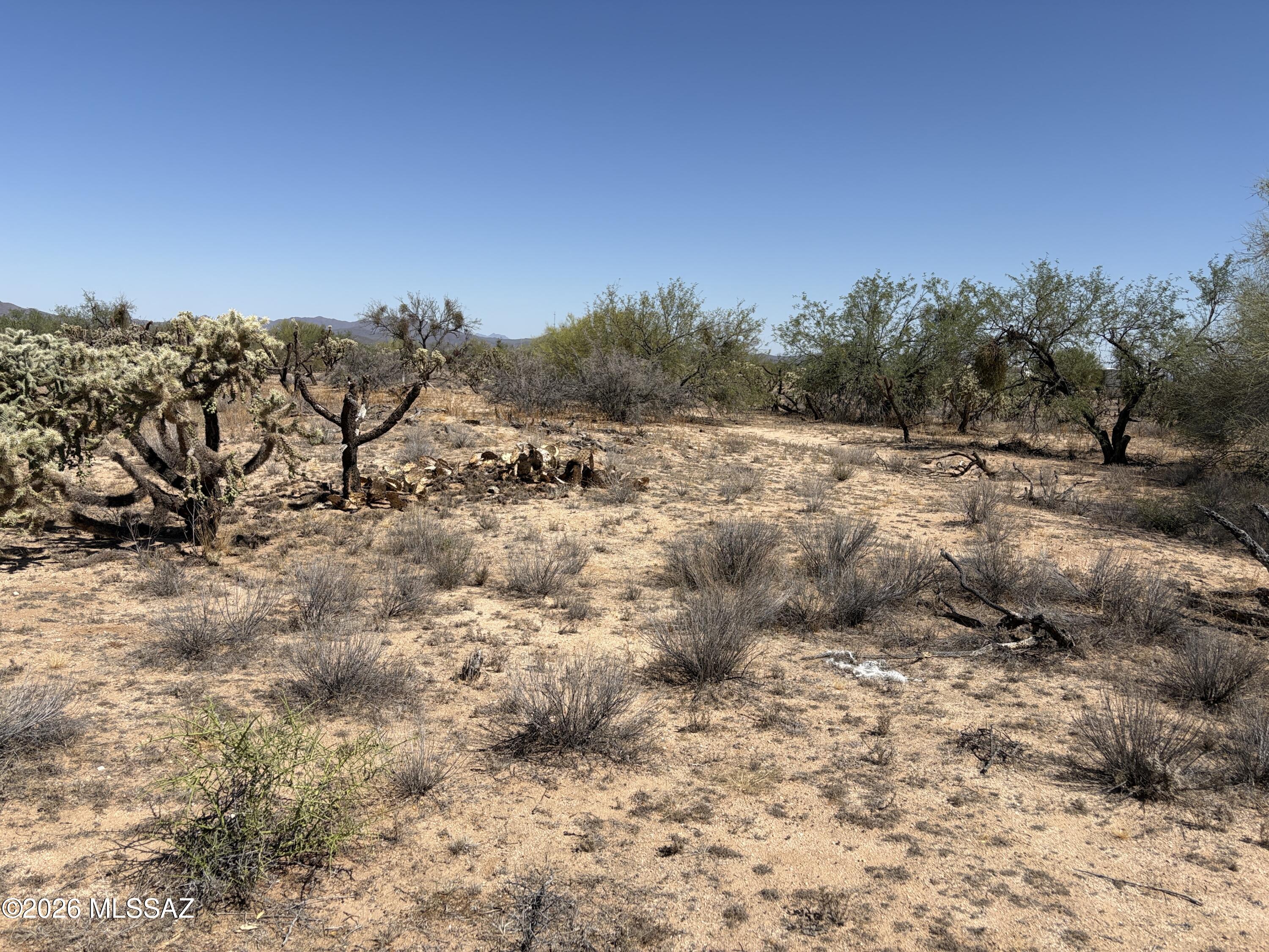 15670 West Many Horses Road, Unit 15 Tucson, AZ 85736 - Photo 1 of 4 IMG_0400
