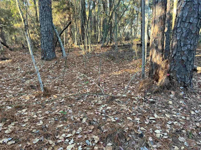 $6,000 | 51 Inglewood Drive, Brookeland, TX 75931