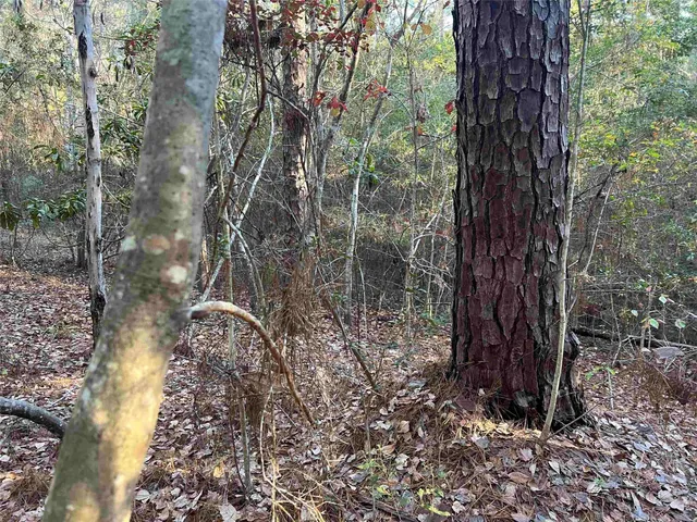 $6,000 | 51 Inglewood Drive, Brookeland, TX 75931