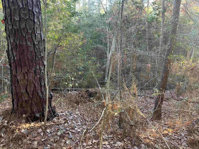 $6,000 | 51 Inglewood Drive, Brookeland, TX 75931