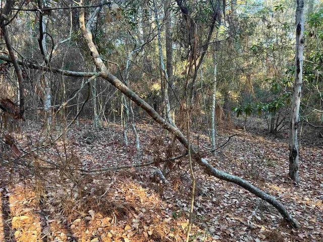 $6,000 | 51 Inglewood Drive, Brookeland, TX 75931