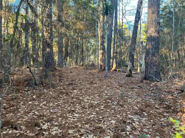 $6,000 | 51 Inglewood Drive, Brookeland, TX 75931