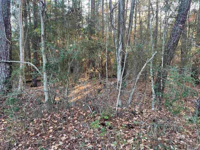 $6,000 | 51 Inglewood Drive, Brookeland, TX 75931