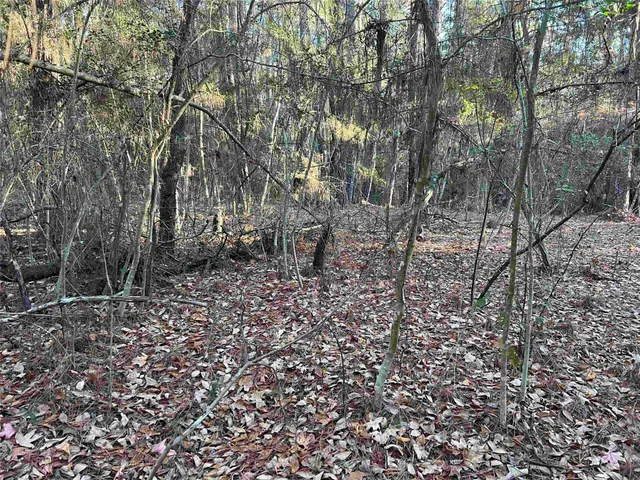 $6,000 | 51 Inglewood Drive, Brookeland, TX 75931