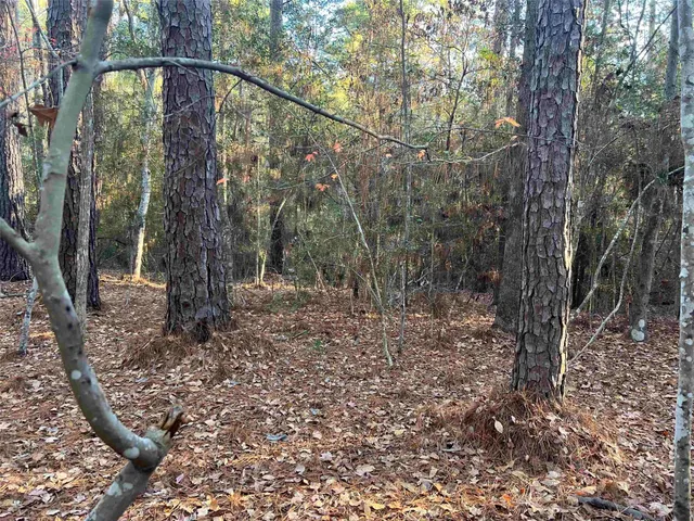 $6,000 | 51 Inglewood Drive, Brookeland, TX 75931