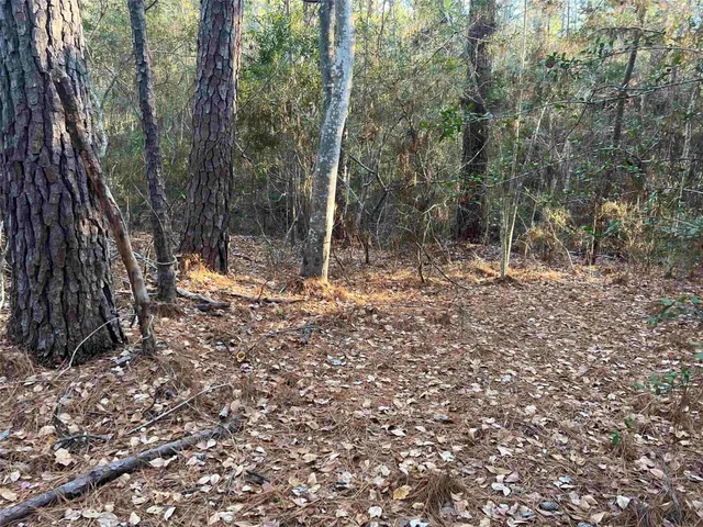 $6,000 | 51 Inglewood Drive, Brookeland, TX 75931